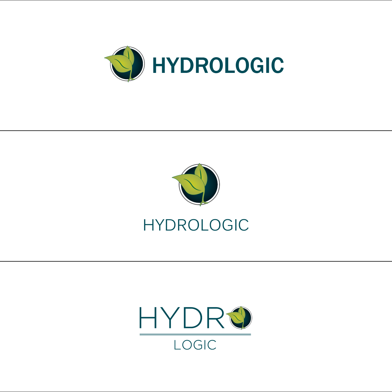 Logo Design by Adnan Ansari for iHost Networks | Design #13876519