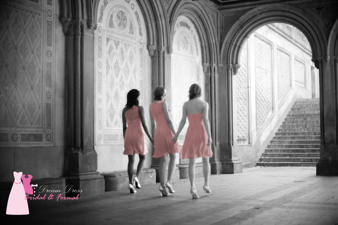 Logo Design by Dream Canvas for Dream Dress Bridal | Design #13842095