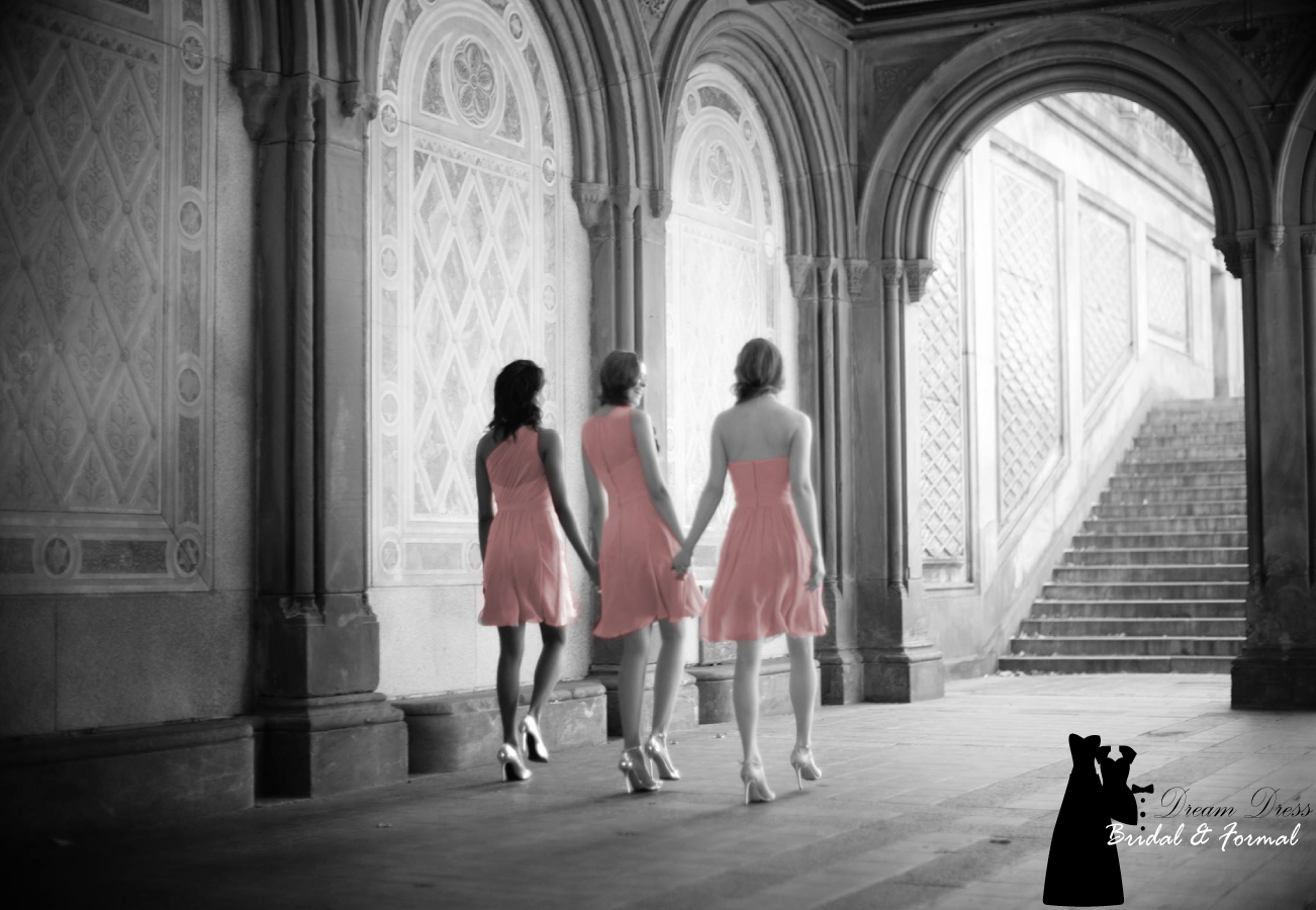 Logo Design by Dream Canvas for Dream Dress Bridal | Design #13842096