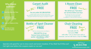 Postcard Design by oscarfayemendie for EcoFresh Carpet Cleaning  | Design: #13894944