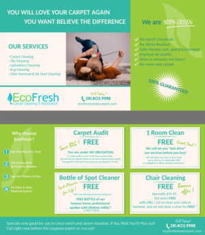 Postcard Design by oscarfayemendie for EcoFresh Carpet Cleaning  | Design: #13895027