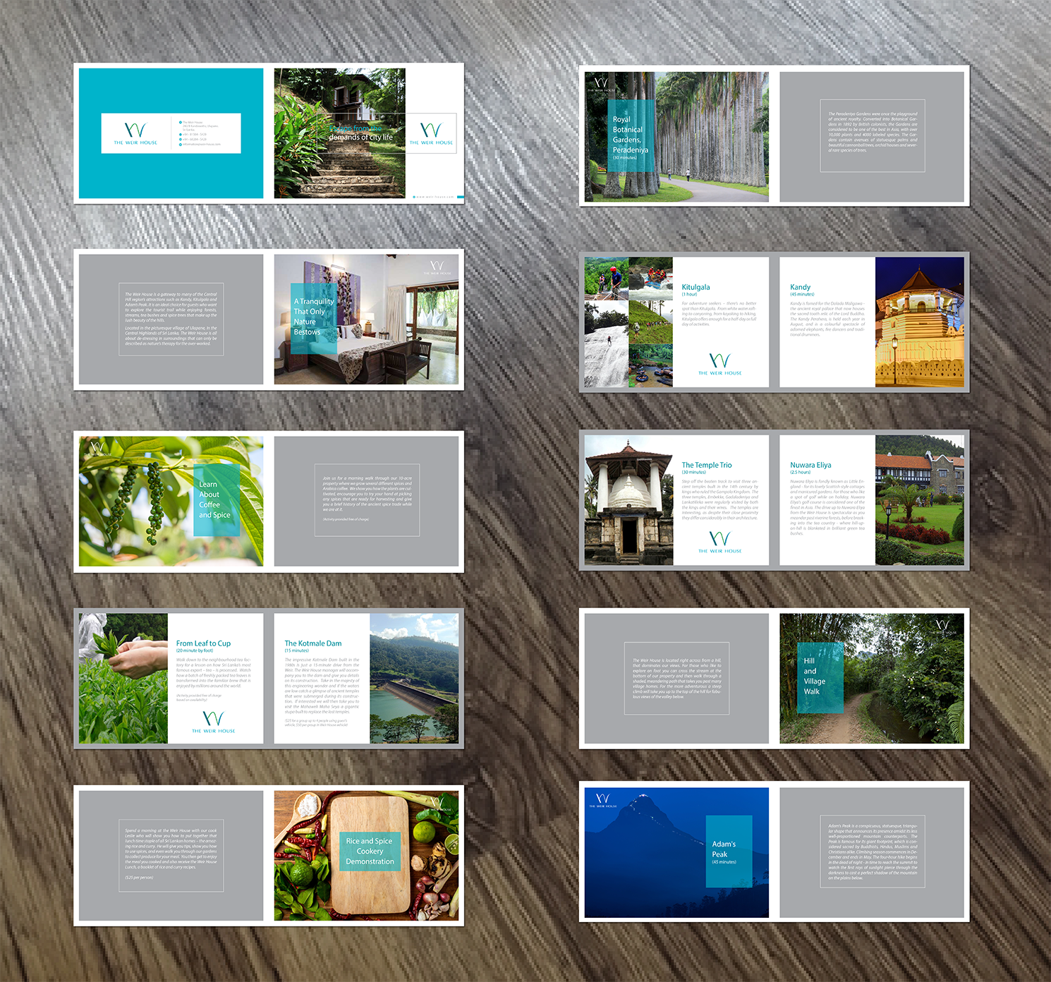 Diseño de Brochure por Alexandar para este proyecto | Diseño #13860030