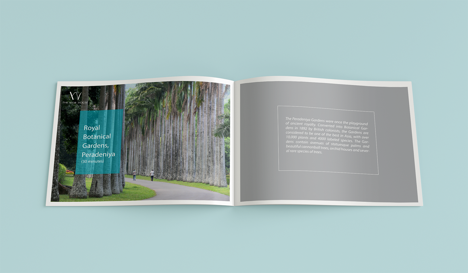 Diseño de Brochure por Alexandar para este proyecto | Diseño #13860131