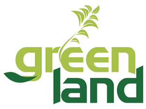 Logo Design by Anil