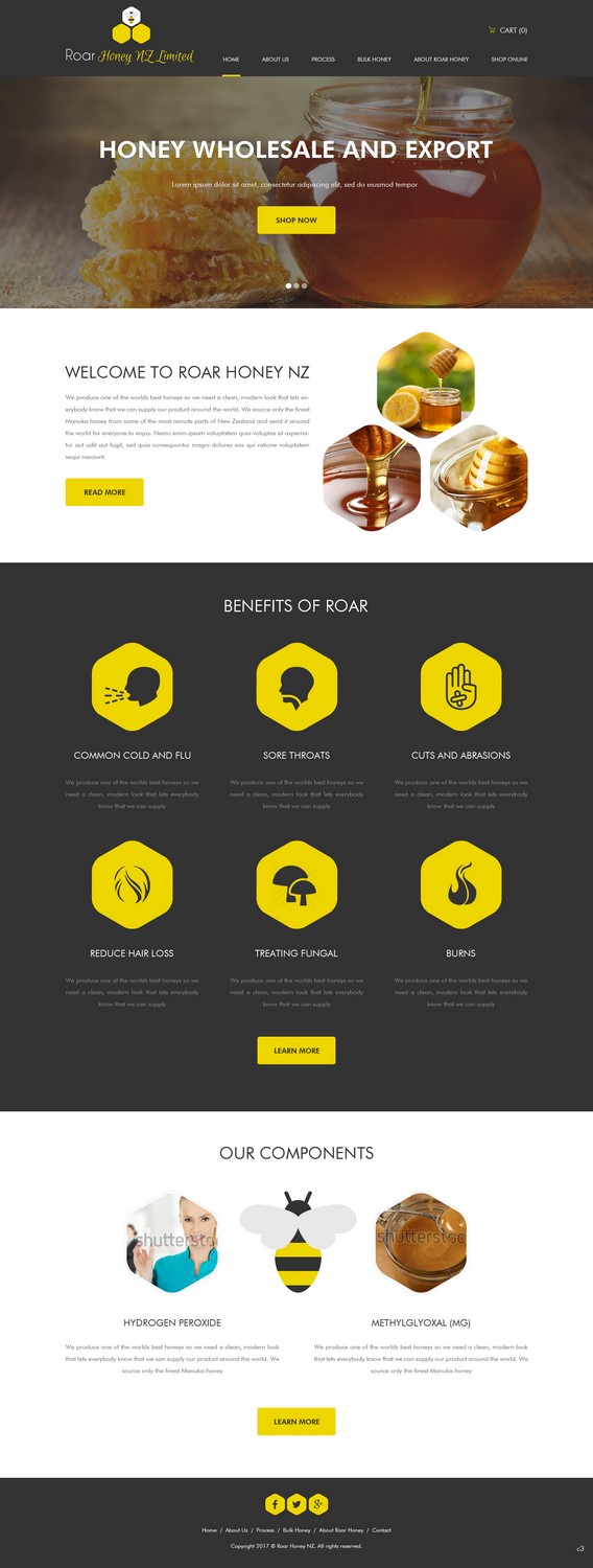 Web Design by pb for MicroClean Limited | Design #13882255