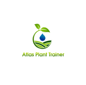 Logo Design by Artistique
