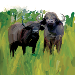 CD Cover Design by David for this project | Design: #13933171