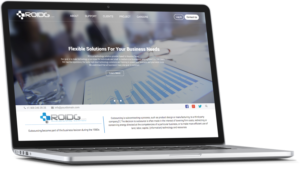 Web Design by cCopilot for ROI Development Group, Inc. | Design: #13882437