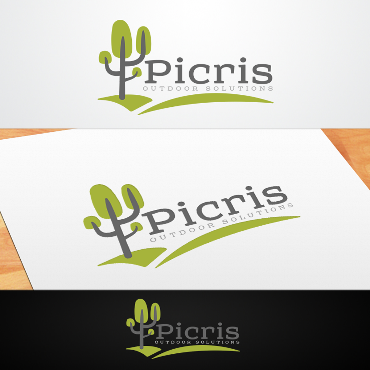 Logo Design by Th3o for Picris Pty Ltd | Design #13887590