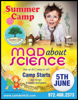 Flyer Design by meet007 for this project | Design: #13925026