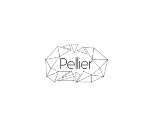 Logo Design by Professor P