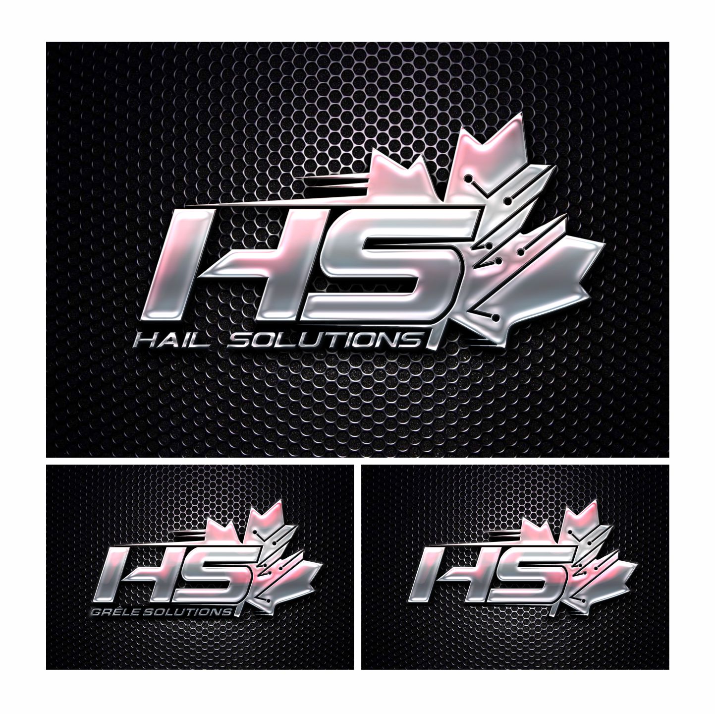 Logo Design by monstersox for Hail Solutions Canada  | Design: #13933098