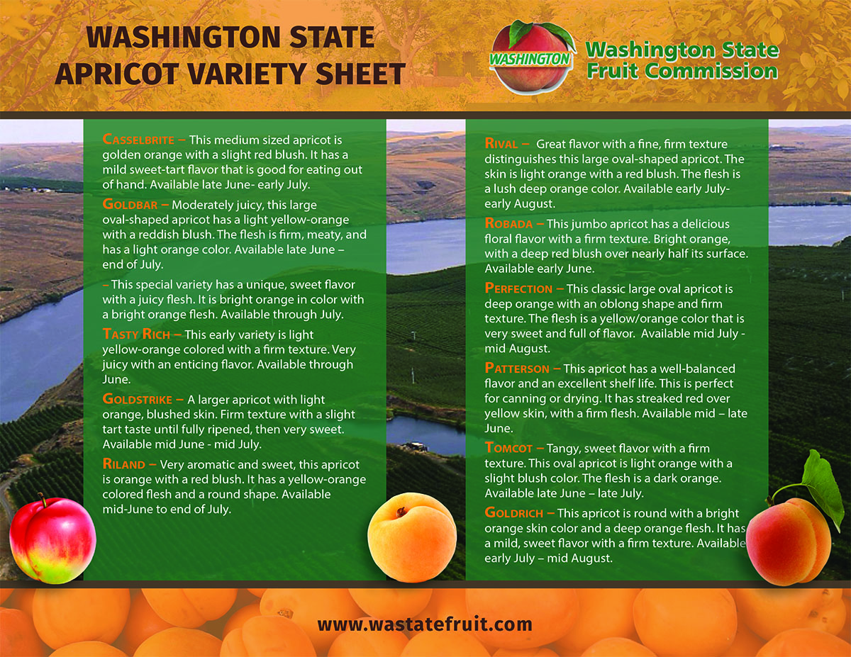 Flyer Design by Venus L. Penaflor for Washington State Fruit Commission | Design #13922704