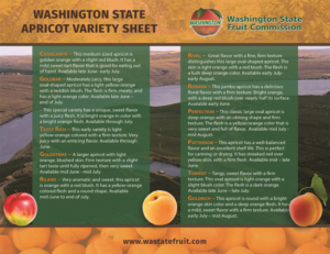 Diseño de Flyer por Venus L. Penaflor para Washington State Fruit Commission | Diseño #13922704