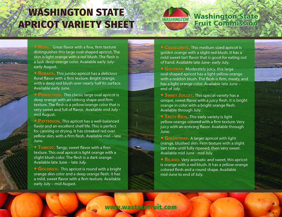 Flyer Design by Venus L. Penaflor for Washington State Fruit Commission | Design #13929246