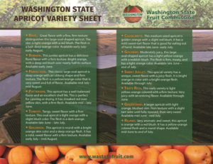 Flyer Design by Venus L. Penaflor for Washington State Fruit Commission | Design: #13929246