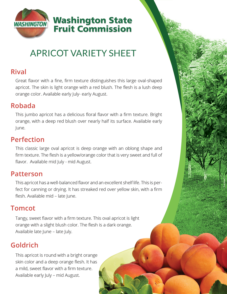 Flyer Design by aniep for Washington State Fruit Commission | Design #13913636