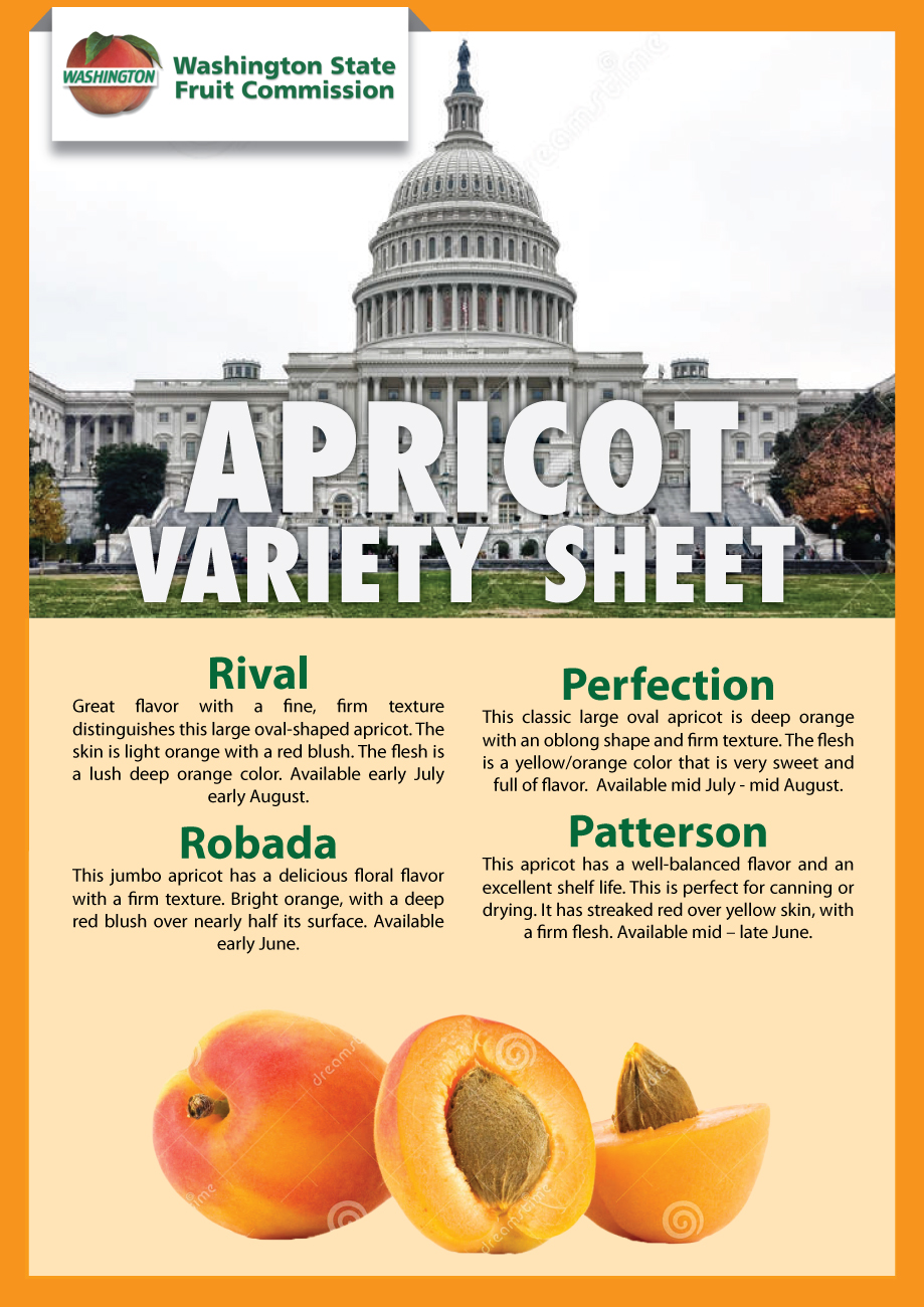 Flyer-Design von Impressive Sol für Washington State Fruit Commission | Design #13904323