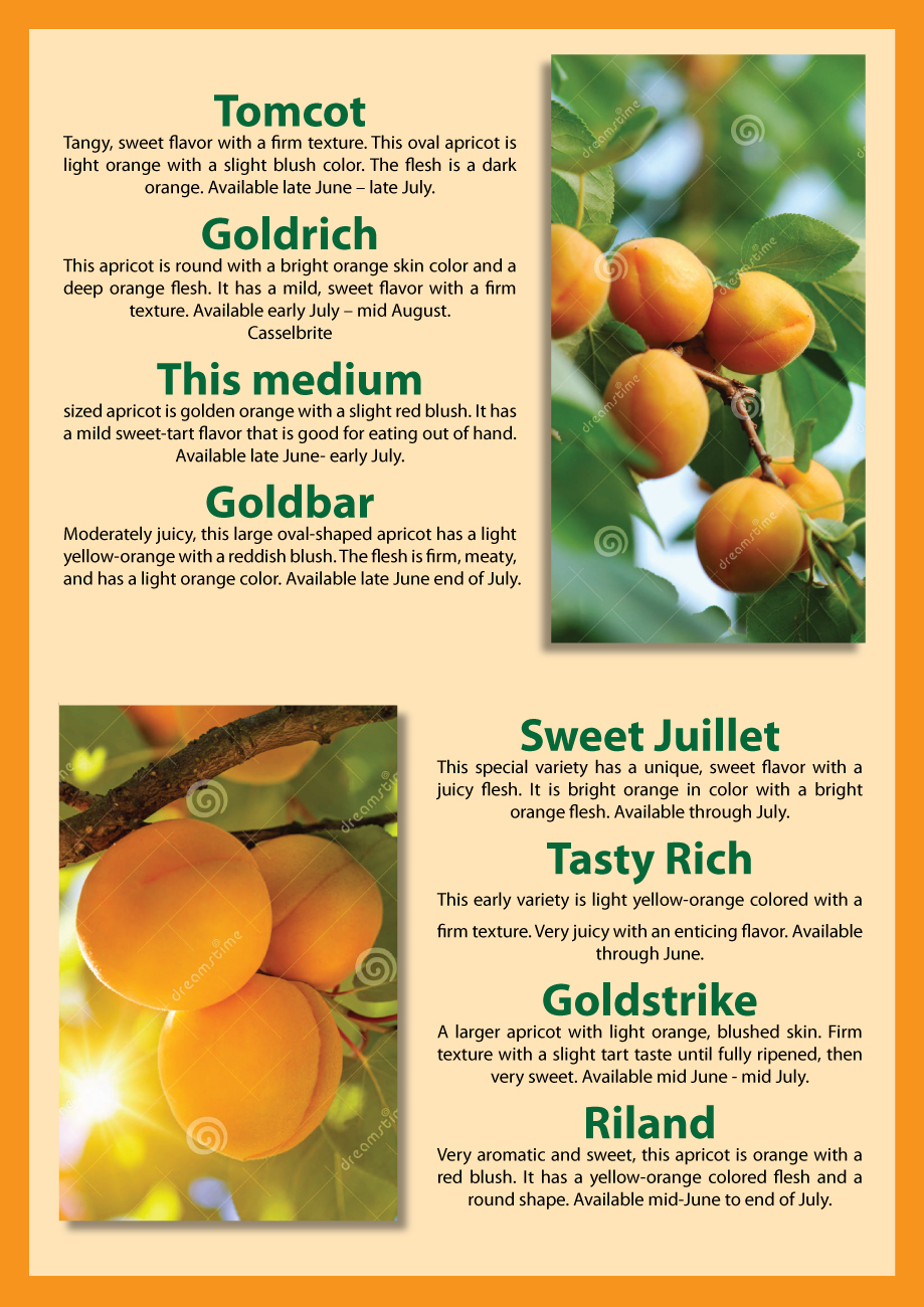 Flyer Design by Impressive Solutions for Washington State Fruit Commission | Design #13904324