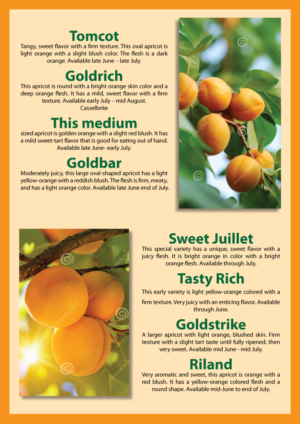 Design de Flyer par Impressive Solutions pour Washington State Fruit Commission | Design : #13904324