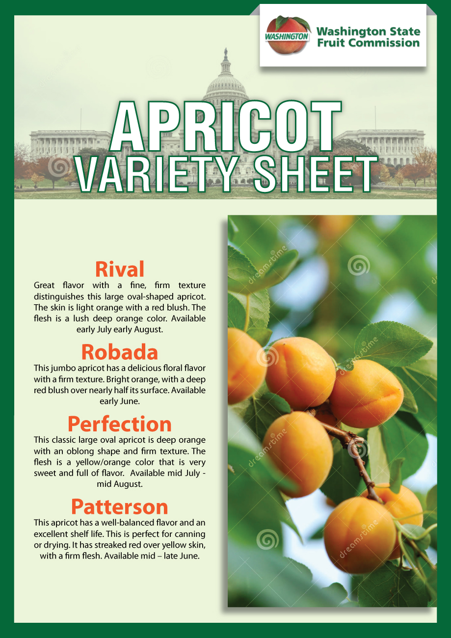 Flyer Design by Impressive Solutions for Washington State Fruit Commission | Design #13904327