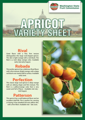 Design de Flyer par Impressive Solutions pour Washington State Fruit Commission | Design : #13904327