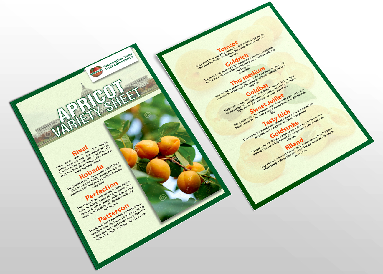 Flyer Design by Impressive Solutions for Washington State Fruit Commission | Design #13904374