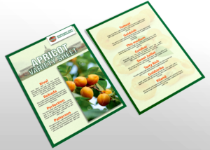 Design de Flyer par Impressive Solutions pour Washington State Fruit Commission | Design : #13904374