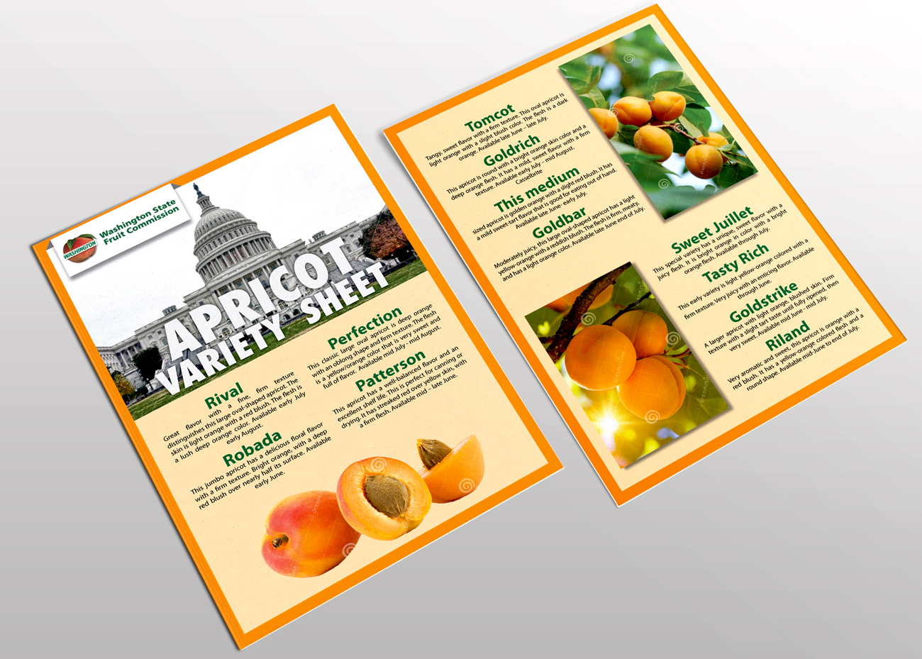 Flyer Design by Impressive Sol for Washington State Fruit Commission | Design #13904375