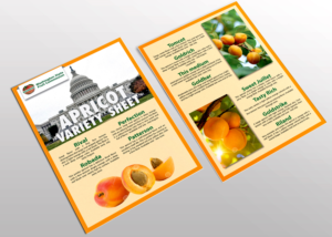 Diseño de Flyer por Impressive Sol para Washington State Fruit Commission | Diseño #13904375