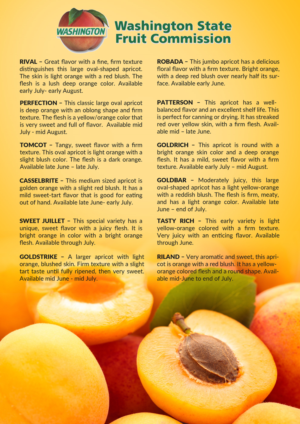 Apricot Variety Sheet - Washington Stone Fruit | Diseño de Flyer por Gfx.26™