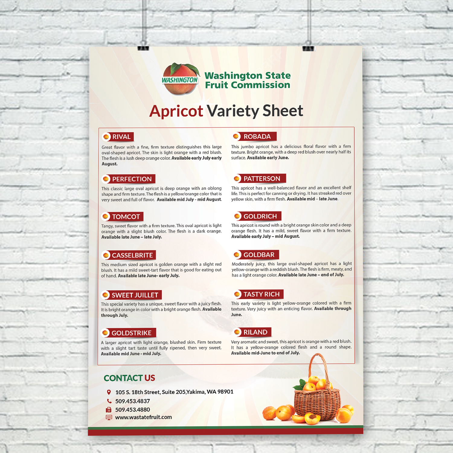 Flyer-Design von creative.bugs für Washington State Fruit Commission | Design #13915322