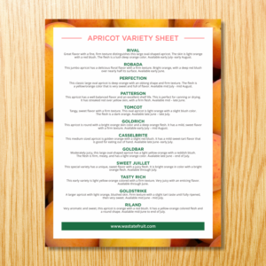 Flyer Design by barinix for Washington State Fruit Commission | Design: #13946507