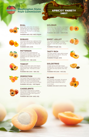Diseño de Flyer por vondon para Washington State Fruit Commission | Diseño #13950635