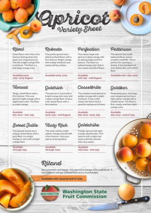 Flyer Design by Marketing Wings for Washington State Fruit Commission | Design: #13920501