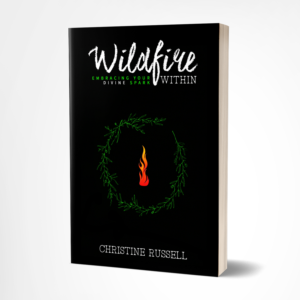 Book Cover Design by Mitransh