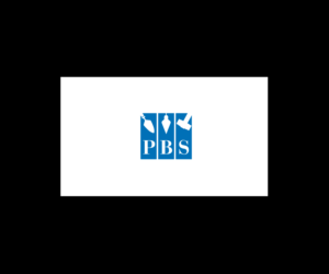 Logo Design by bijuak for Professional bricklaying services pty ltd | Design: #13903687