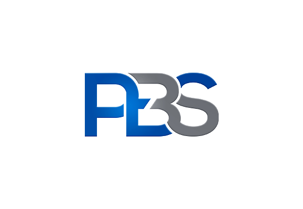 Logo Design by EGYPT KING for Professional bricklaying services pty ltd | Design #13900735