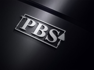 Logo Design by hemi world for Professional bricklaying services pty ltd | Design: #13903828