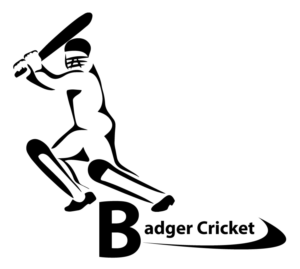 Design de Logo par Nanayakkara pour Badger Cricket | Design : #13900630