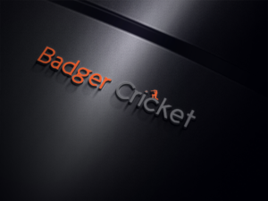 Logo Design by EGYPT KING for Badger Cricket | Design: #13900377