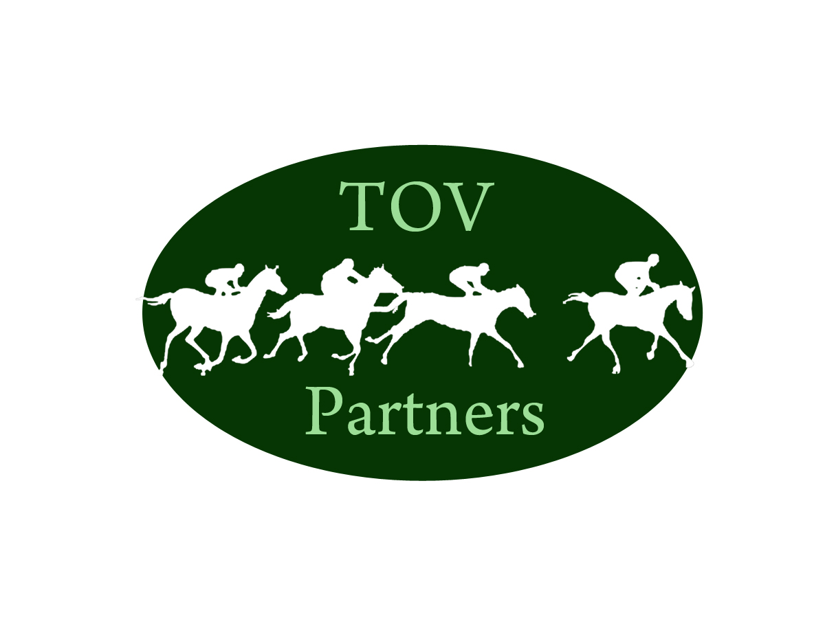 Logo Design by Michelle Germano for FiberCablesDirect.com | Design #2495681