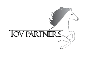 Logo Design by TassjaP for FiberCablesDirect.com | Design: #2541391