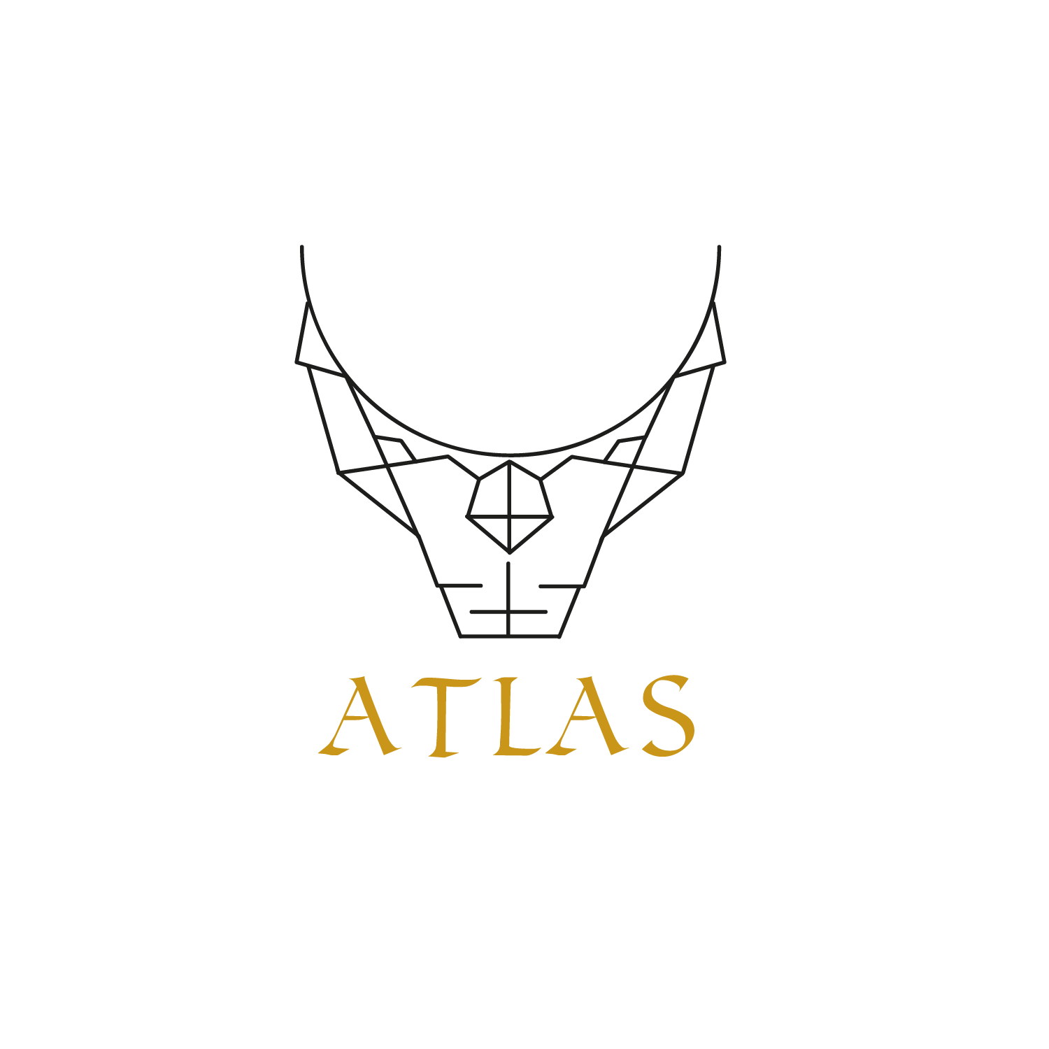 Logo Design by shanchud for this project | Design #13902335