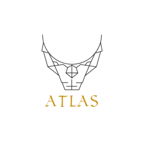 Logo Design by shanchud