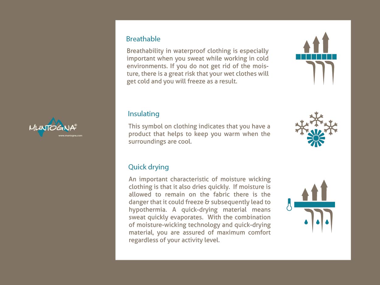 Icon Design by Brigitte Melissa B for Sterndorf GmbH | Design: #13951080
