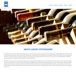 Concierge Services | Web Design by -Marc-