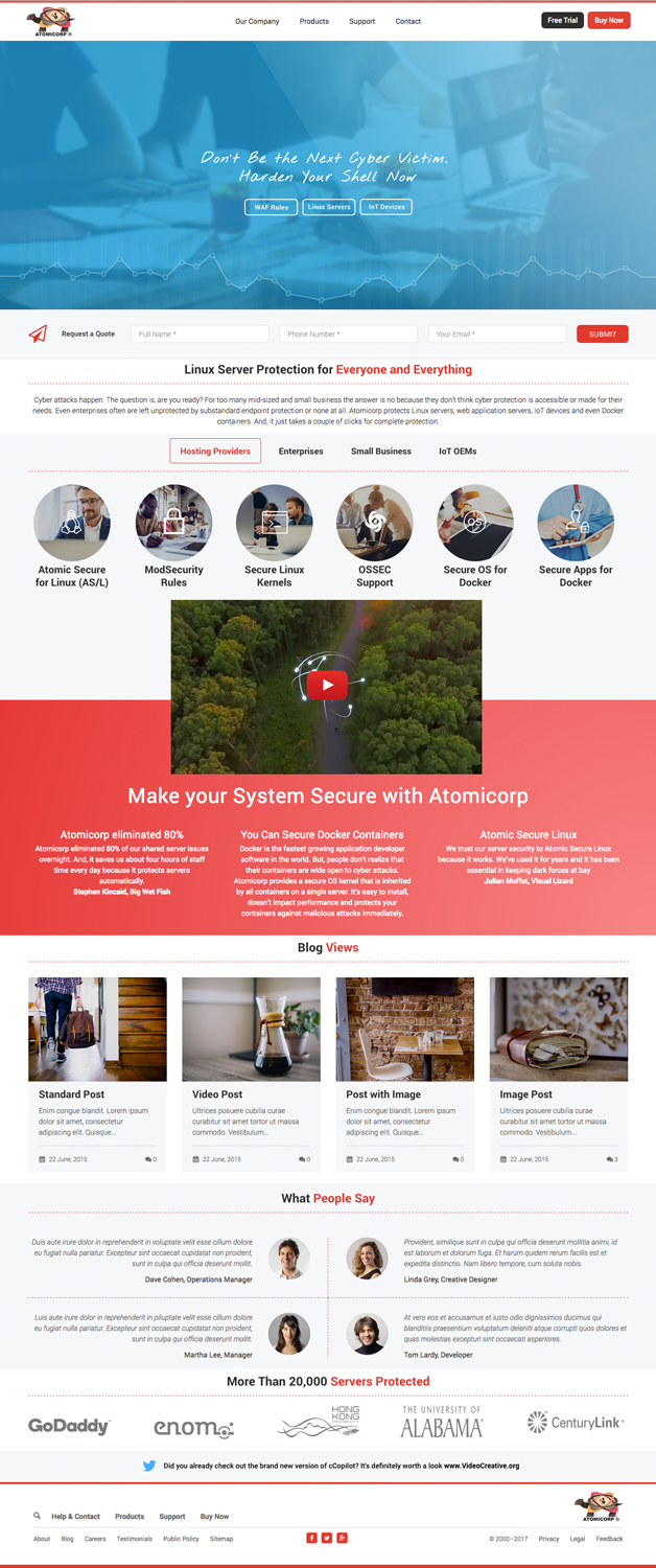 Web Design by cCopilot for this project | Design #14019384