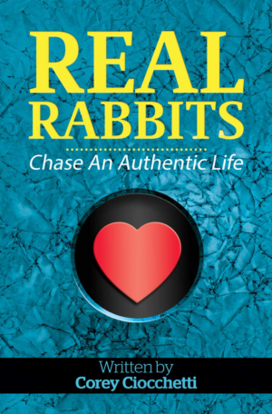 Book Cover Design by dinug.312