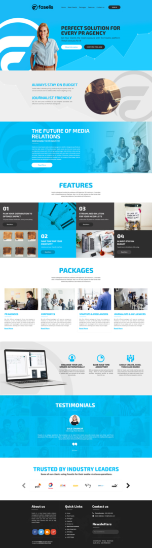 Web Design by Black Stallions Impressive Solutions for Faselis Veri Teknolojileri A.S. | Design #14094427